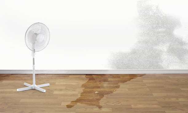Best Emergency water damage restoration  in Raymond, IL
