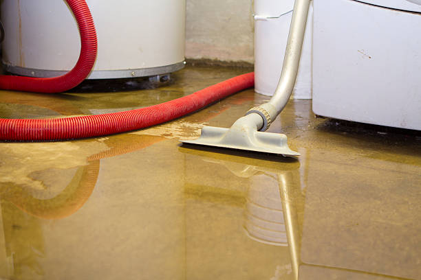 Best Local water damage restoration  in Raymond, IL
