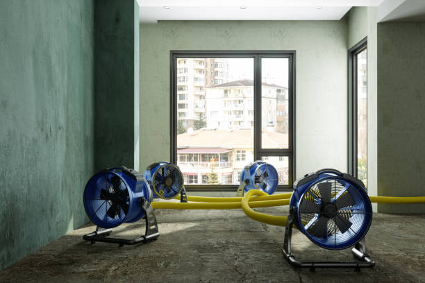 Best Local water damage restoration  in Raymond, IL