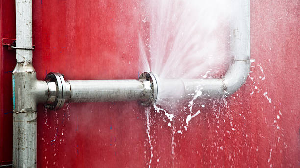 Best 24-hour water damage restoration  in Raymond, IL