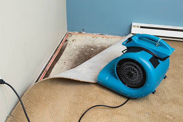Best Fire Damage Restoration  in Raymond, IL